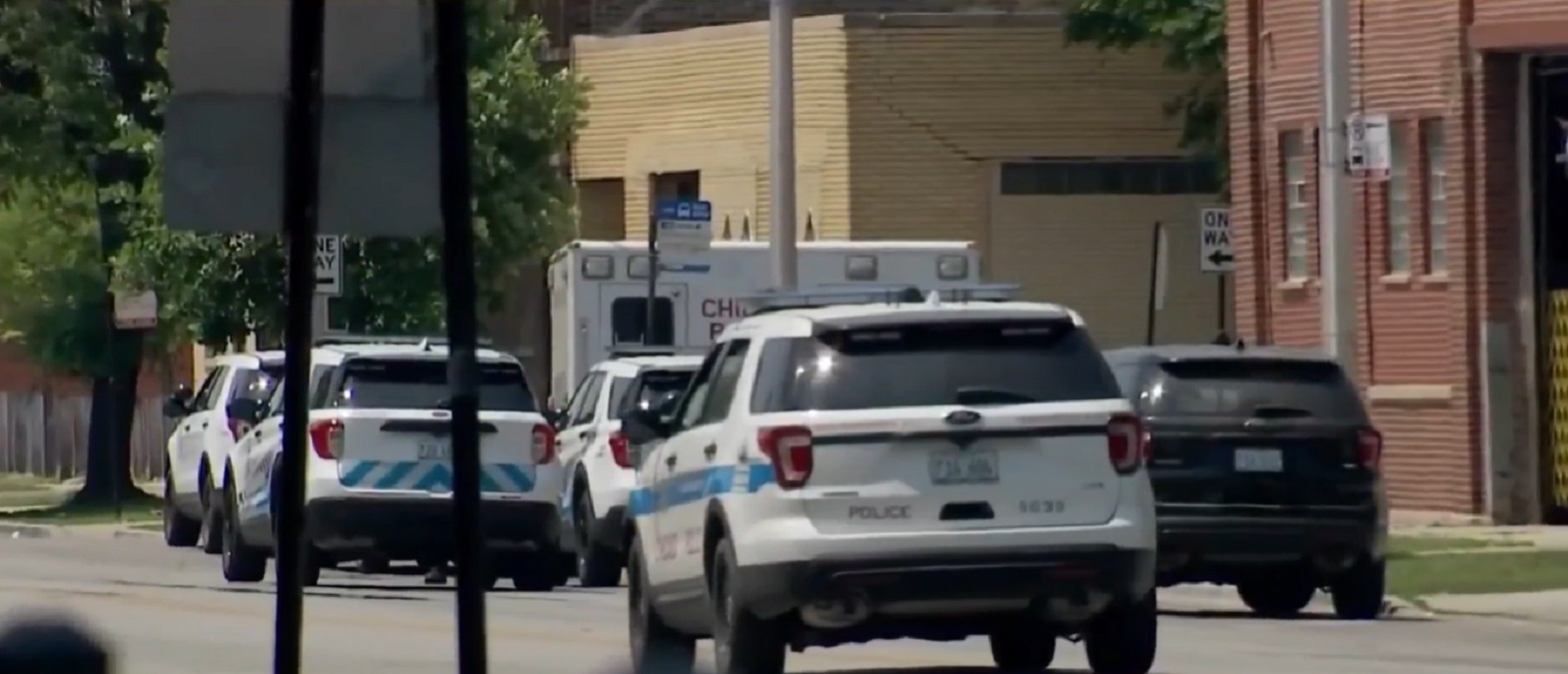 Man Found Dead After 12-Hour Standoff In Humboldt Park With SWAT Team ...