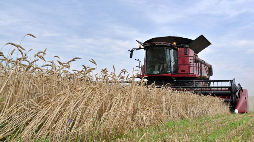 Known as the world’s “bread basket,” Ukraine grows far more wheat than it consumes and it’s exports contribute to global food security, especially in African countries, which now fear food shortages.