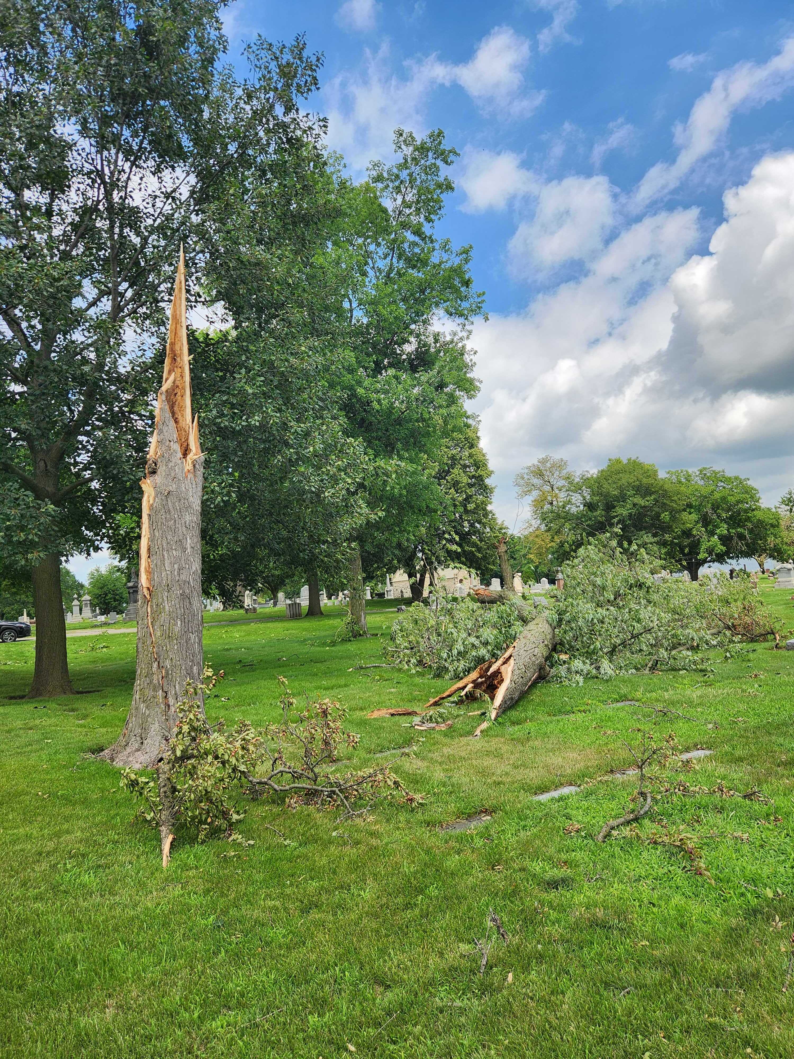 NWS confirms 4 tornadoes in multiple south suburban counties