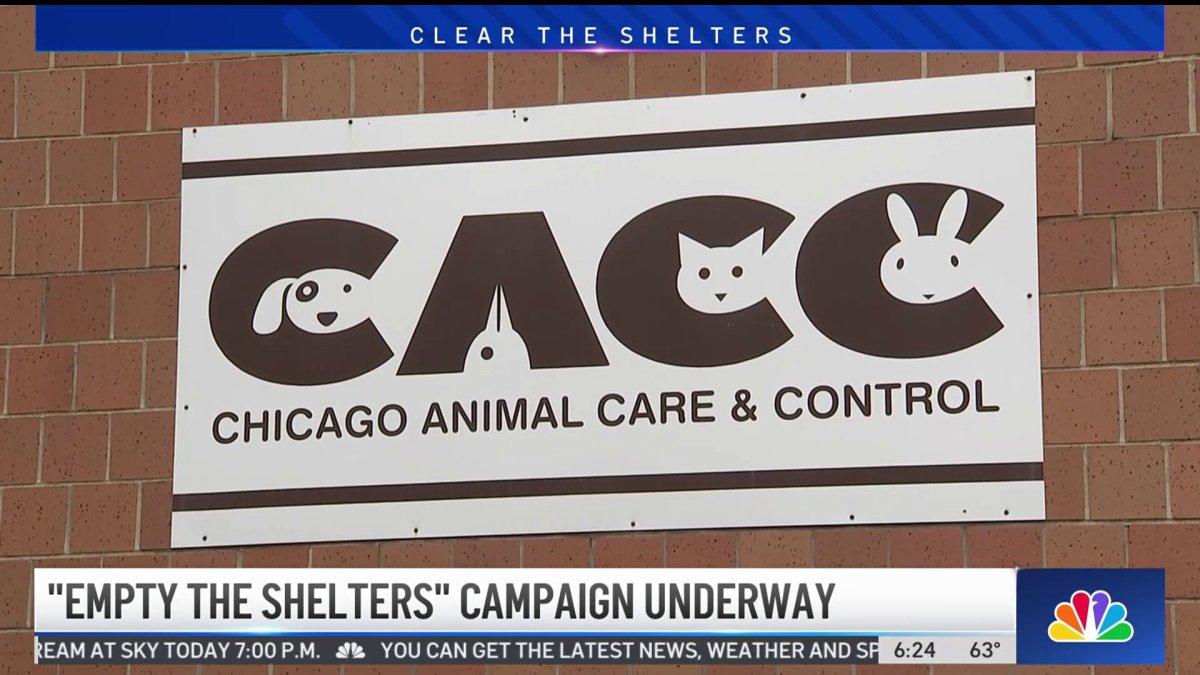 Clear the Shelters Chicago Animal Care and Control needs your help