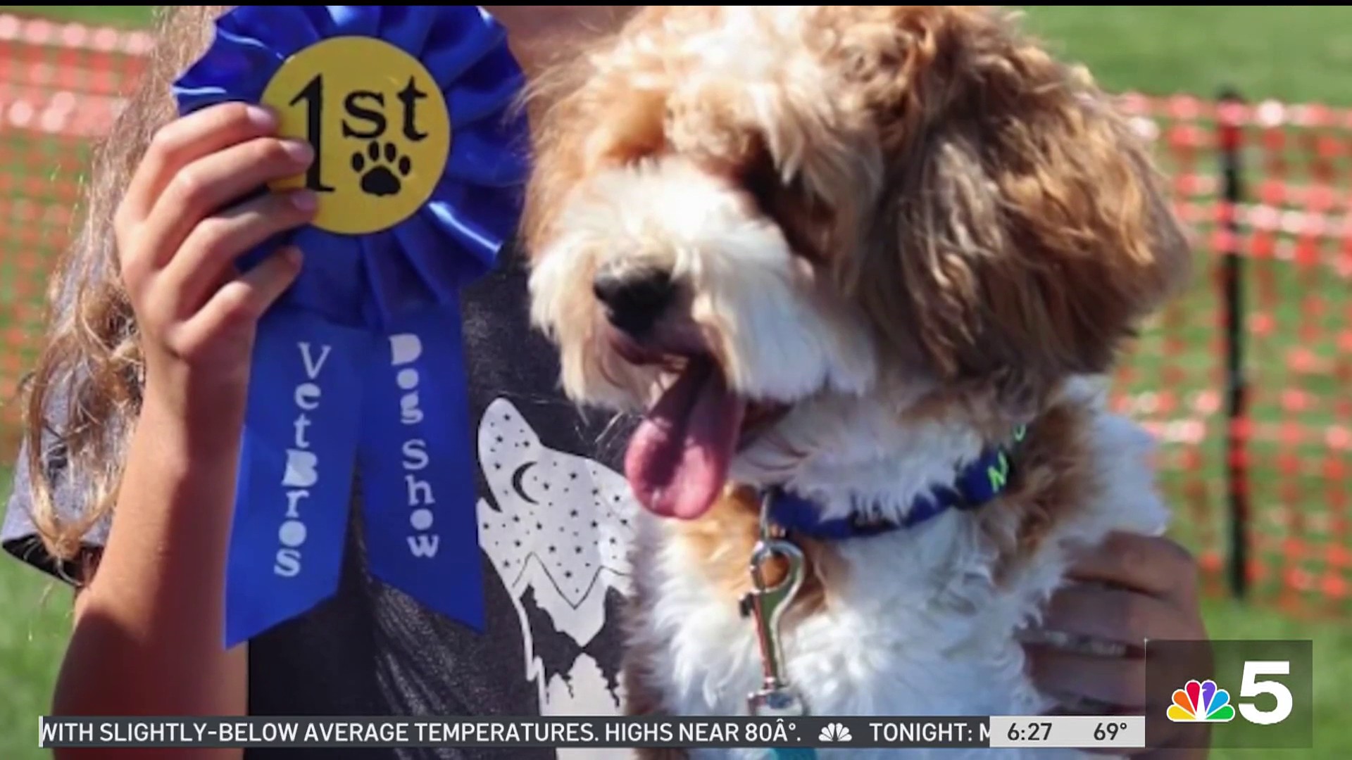 Bark in the Park' raises money, helps animals find forever homes