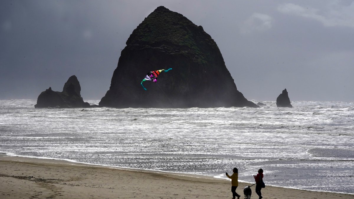 Oregon's Cannon Beach reopens after cougar sighting – NBC Chicago - Vimarsana News