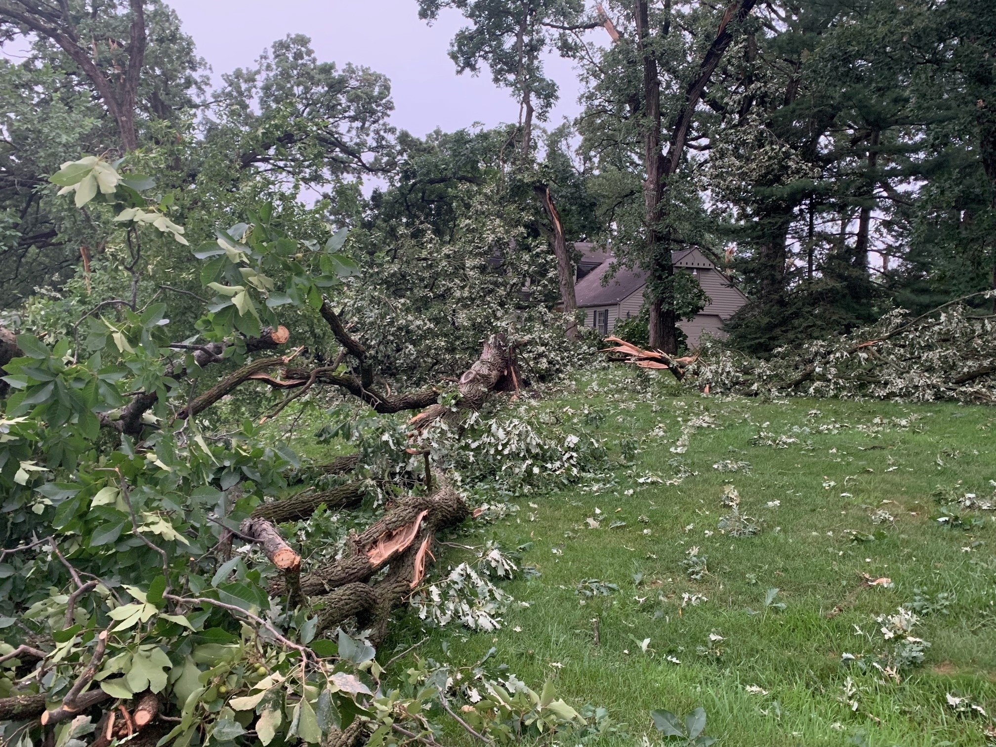 From Hodgkins to Elgin, severe weather, tornadoes cause extensive