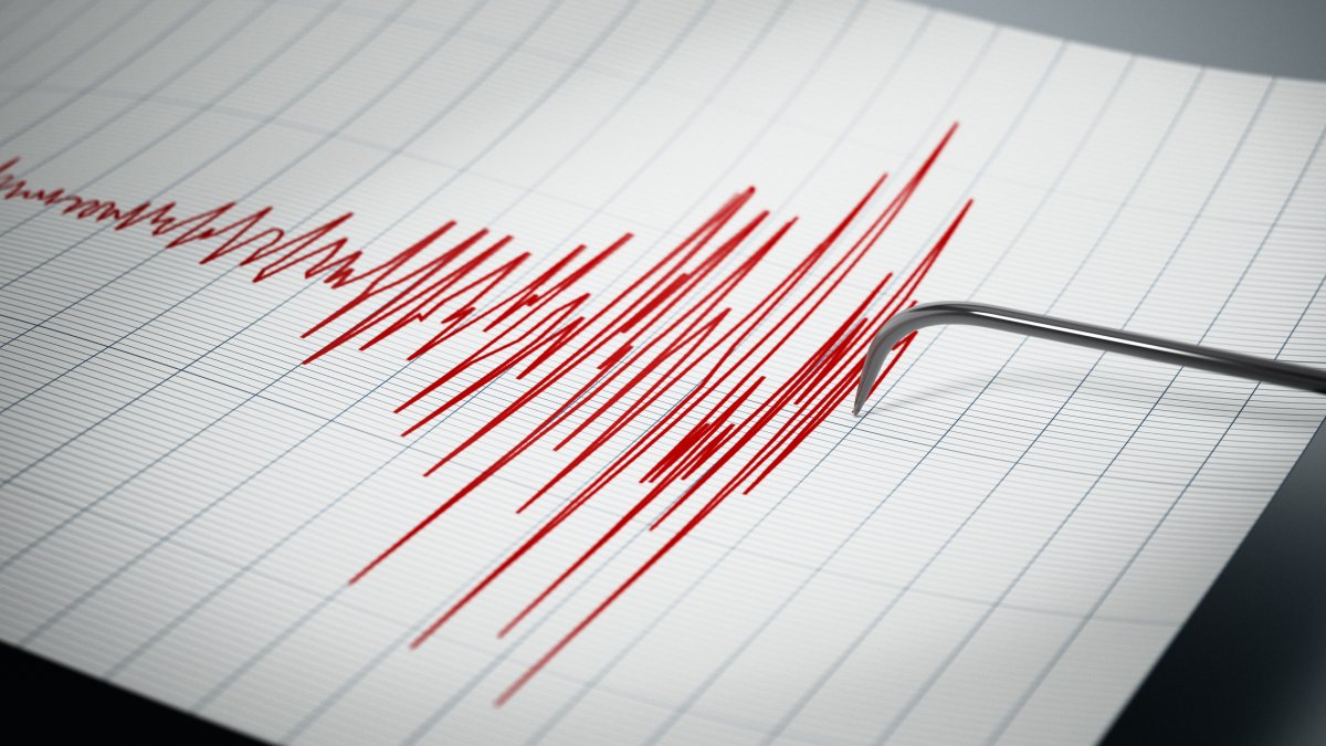 7.4 magnitude quake strikes the Alaska Peninsula, triggers tsunami advisory – NBC Chicago - Vimarsana News