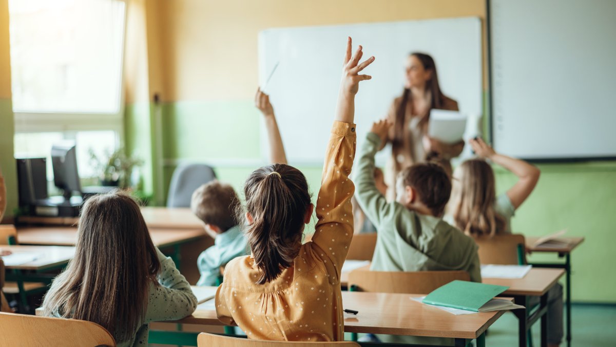 7 new Illinois education laws to know about as a new school year begins – NBC Chicago - Vimarsana News