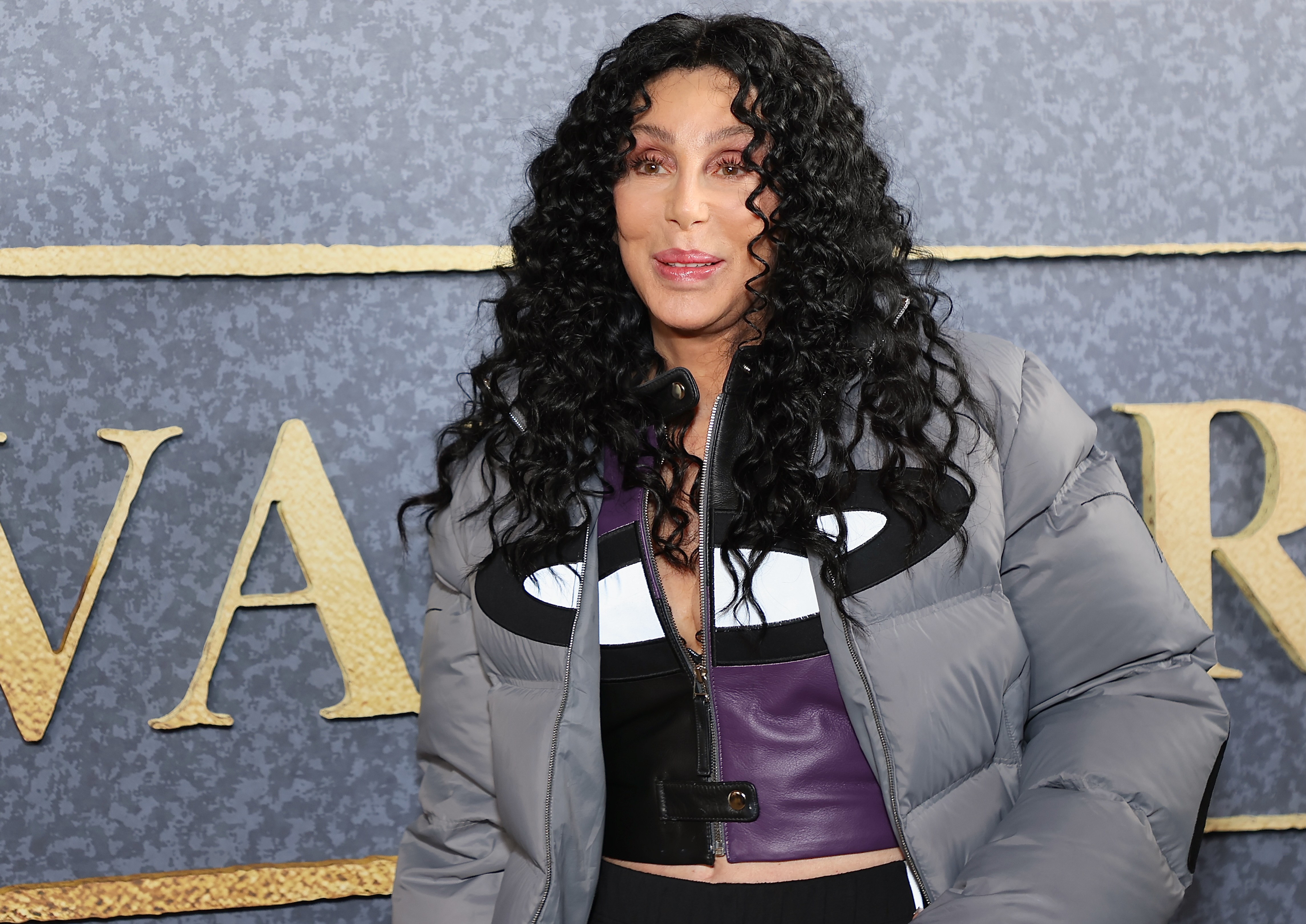 Cher launches 'Cherlato' gelato brand – NBC Chicago - Vimarsana News