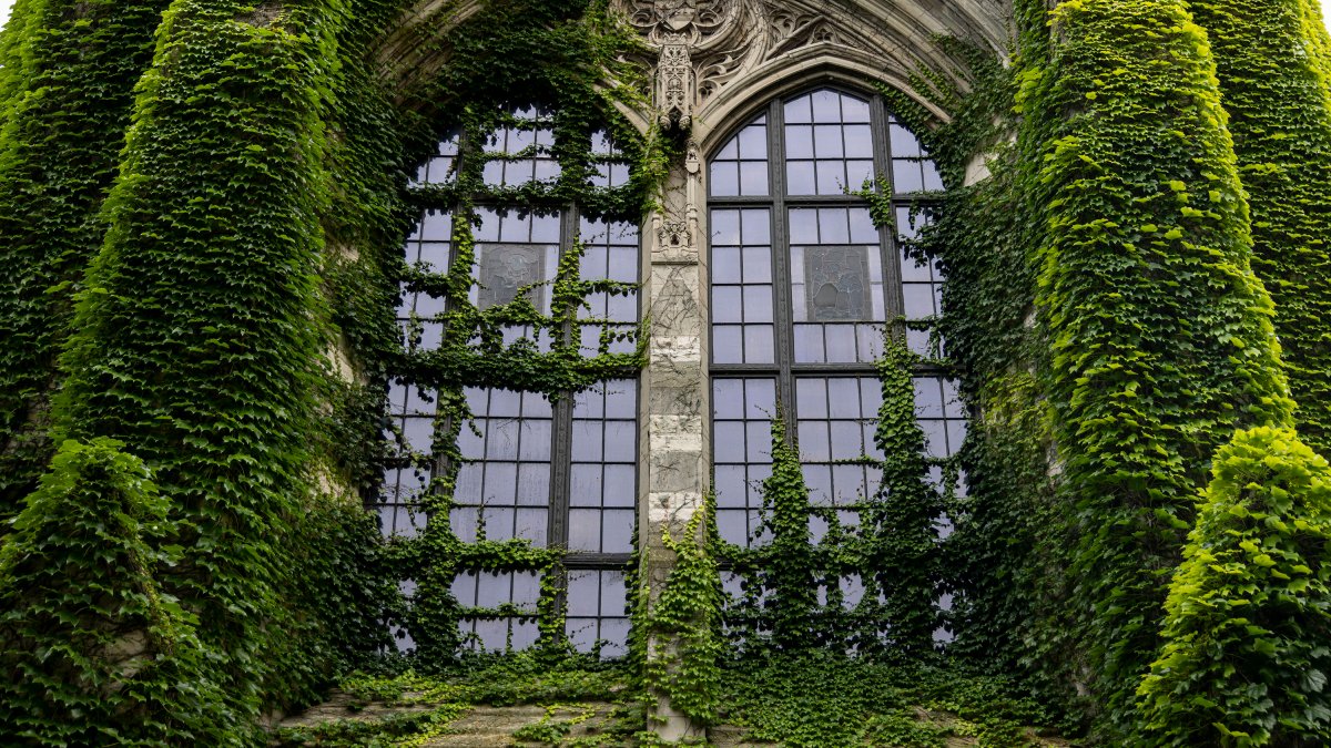 First lawsuit filed on behalf of female Northwestern University athlete as hazing scandal widens