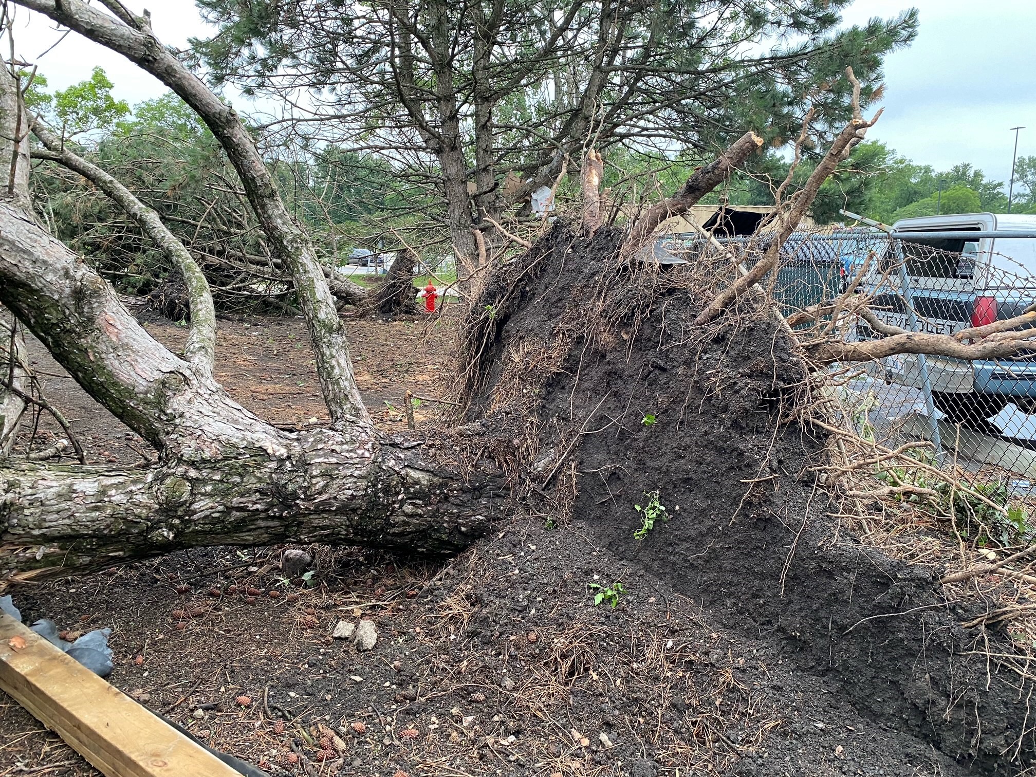 Photos From Hodgkins to Elgin, severe weather, tornadoes cause