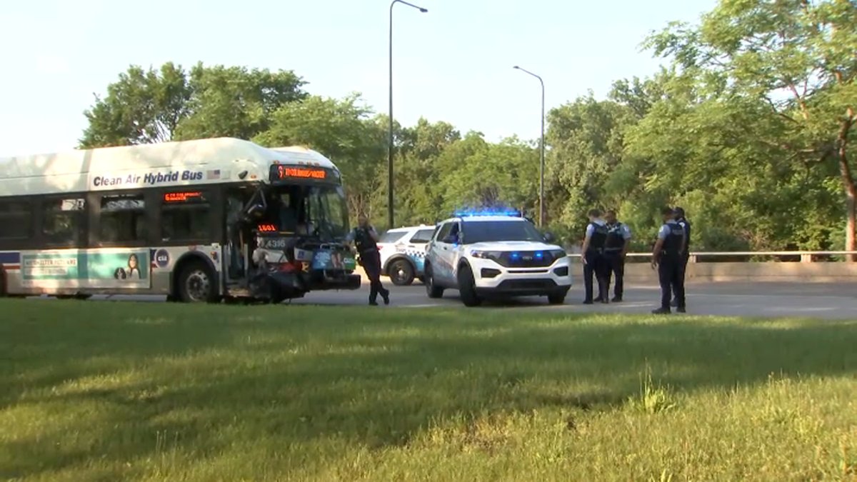 Chicago woman celebrated her birthday hours before dying in wrong-way crash with CTA bus