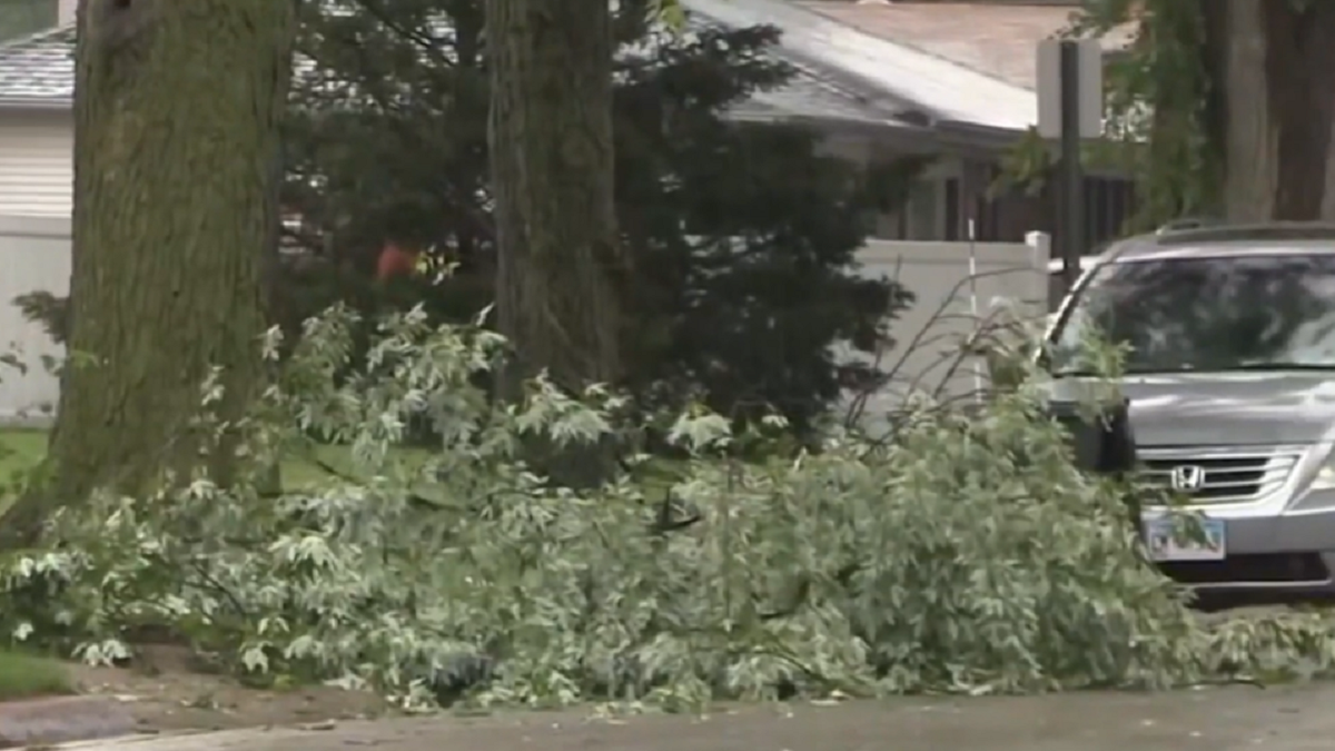 Several suburbs deal with storm damage from heavy rains, gusty winds