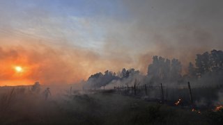 Wildfires raging across Algeria during a blistering heat wave killed more than 30 people and forced mass evacuations, the government said.