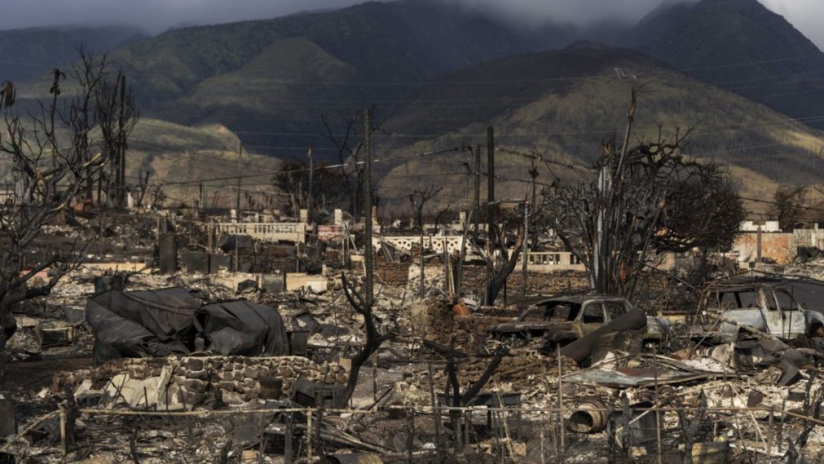 Maui wildfires: Some missing people found after Hawaii officials release list – NBC Chicago - Vimarsana News