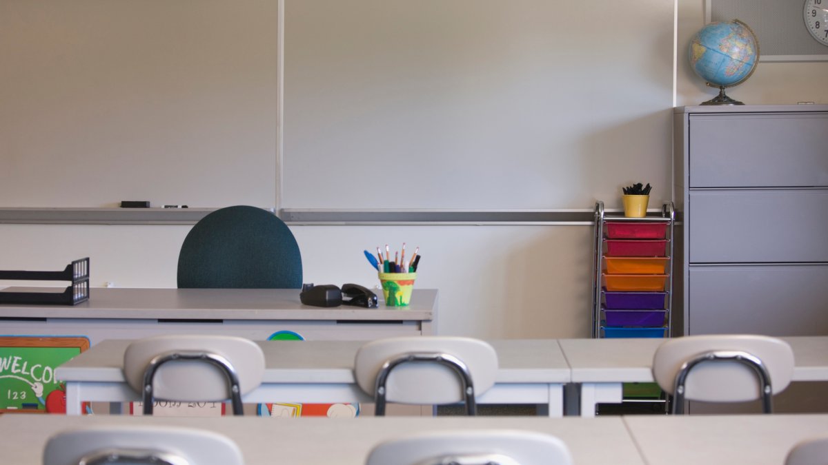 Georgia school district fires teacher for reading gender fluidity book to student – NBC Chicago - Vimarsana News