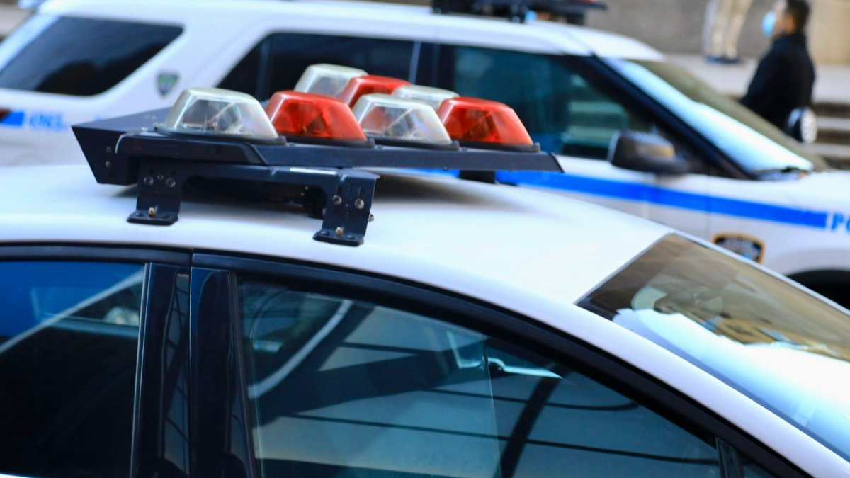 Son fatally stabbed father in Glenview during argument over smoking pot before work: prosecutors