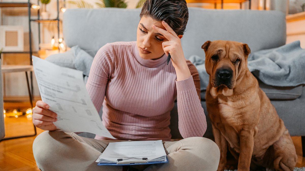 As pet insurance becomes more popular, pet owners fret about rising prices, denied claims – NBC Chicago - Vimarsana News
