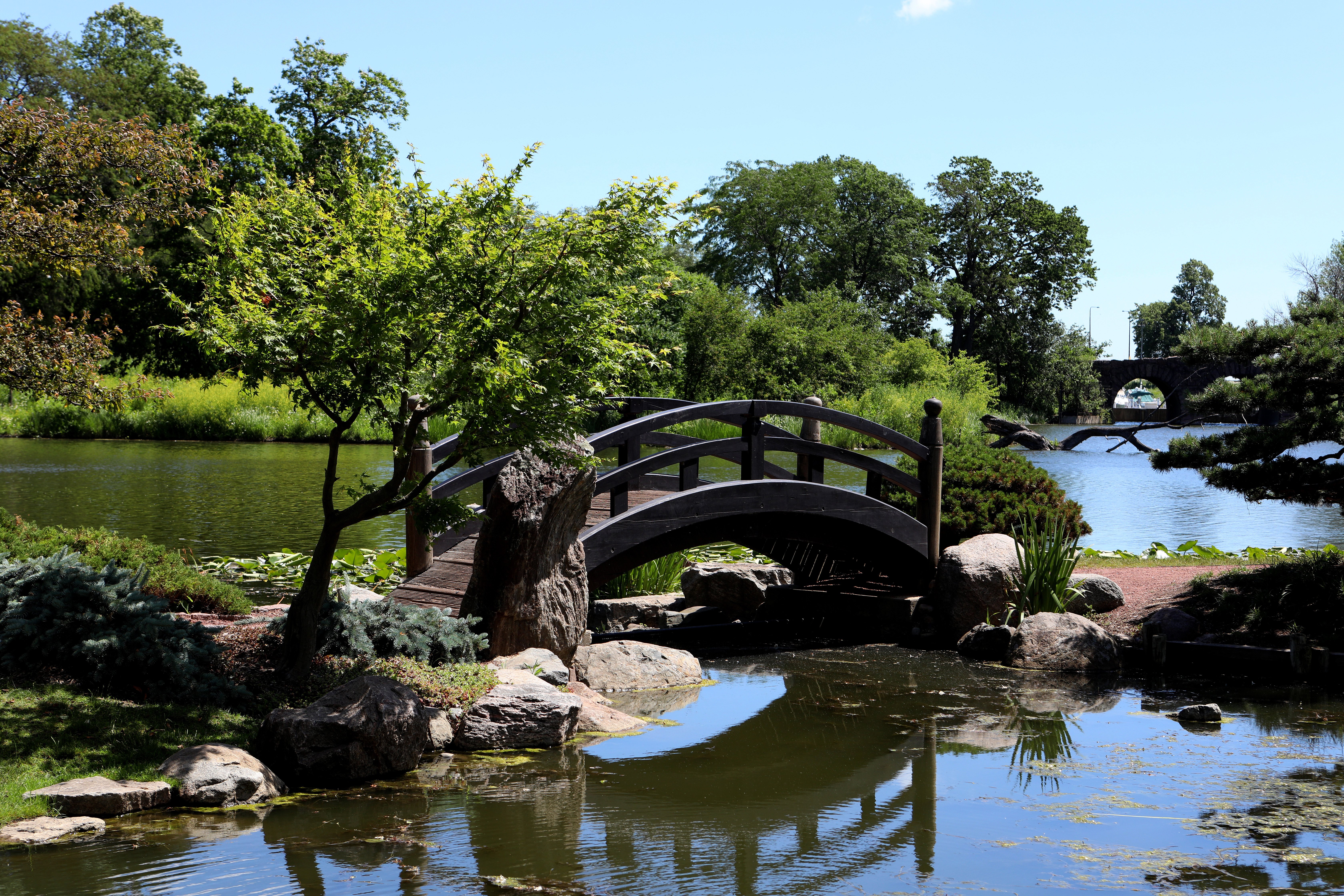 Discover the rich history and cultural festivals at Jackson Park's