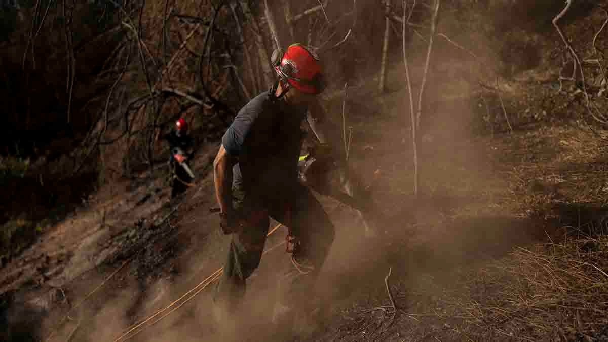 Maui wildfire survivors face power cuts and poor cell service amid ongoing search efforts – NBC Chicago - Vimarsana News