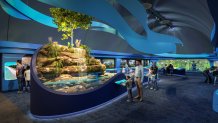 Chicago’s Shedd Aquarium will undergo a $500M redesign. See what it will look like – NBC Chicago