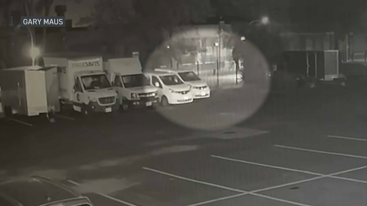 Neighborhood group calls on Chicago officials to install high-tech network of security cameras