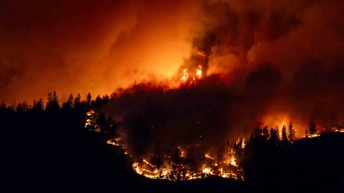 Canadian firefighters battling wildfires to save communities – NBC Chicago - Vimarsana News