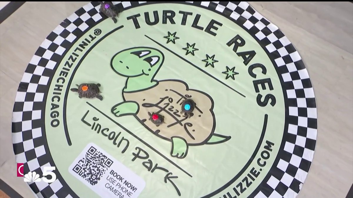 Tin Lizzie in Lincoln Park hosts popular turtle races – NBC Chicago