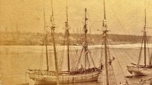 156-year-old Trinidad.