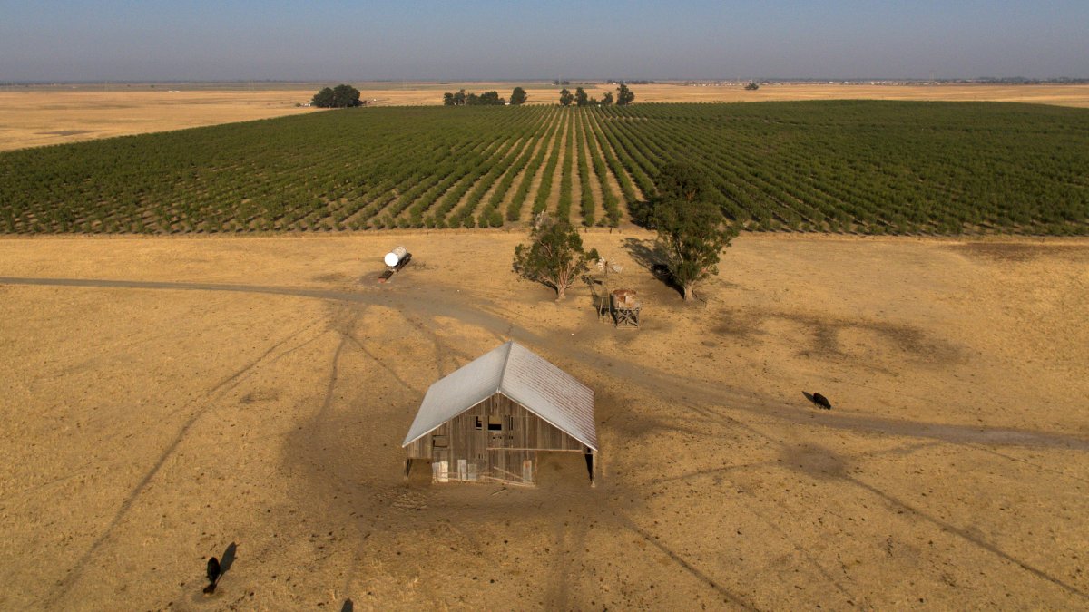 Silicon Valley billionaires want to build a new city in rural Calif. – NBC Chicago - Vimarsana News