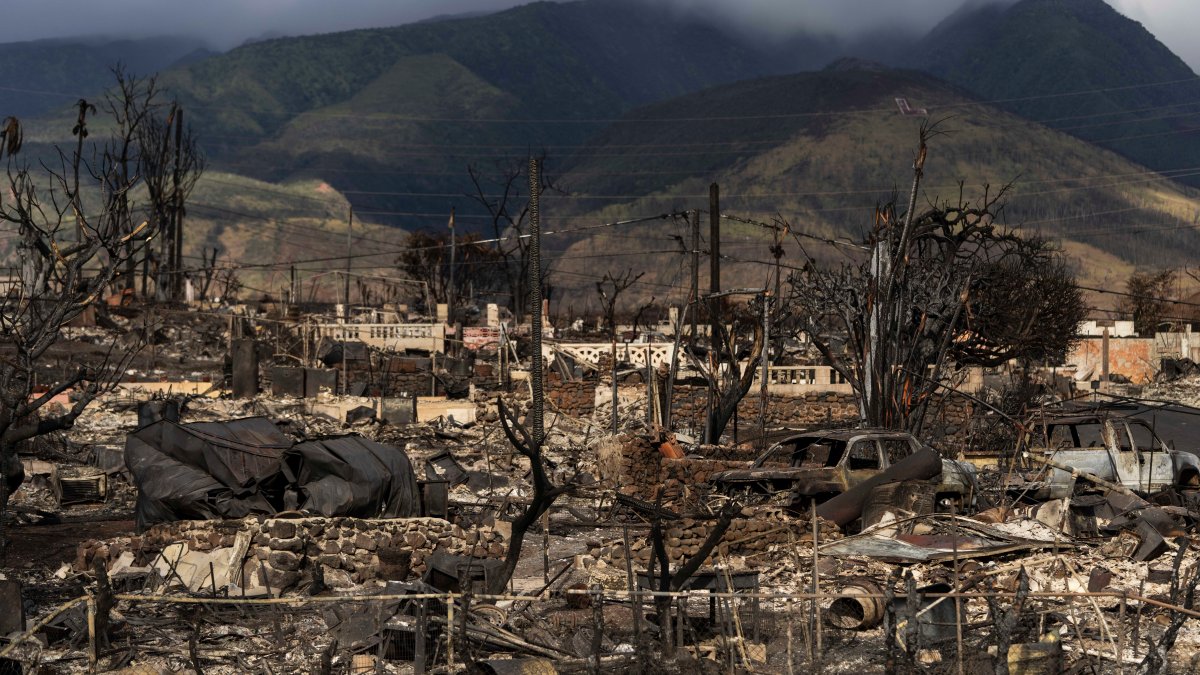Hawaiian Electric at center of first congressional hearing on Maui wildfires – NBC Chicago - Vimarsana News