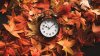When do we fall back? Illinois' daylight saving time will soon end