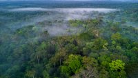 A cluster of lost cities in the Amazon that lasted 1,000 years has been mapped