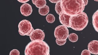 Cancer cells, malignant cells, scientific 3D illustration