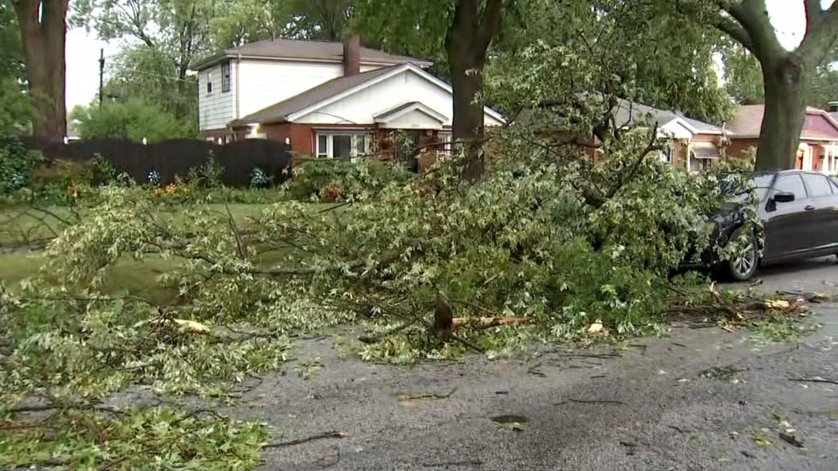 Chicago forecast: Strong storms with downpours, gusty winds possible ahead of 'fall-like' temperatures – NBC Chicago - Vimarsana News