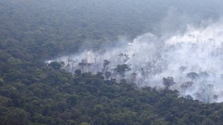 Smoke from a fire rises into the air as trees burn amongst vegetation in Brazil’s Amazon rainforest near Humaita, Amazonas state, Brazil, August 3, 2023.