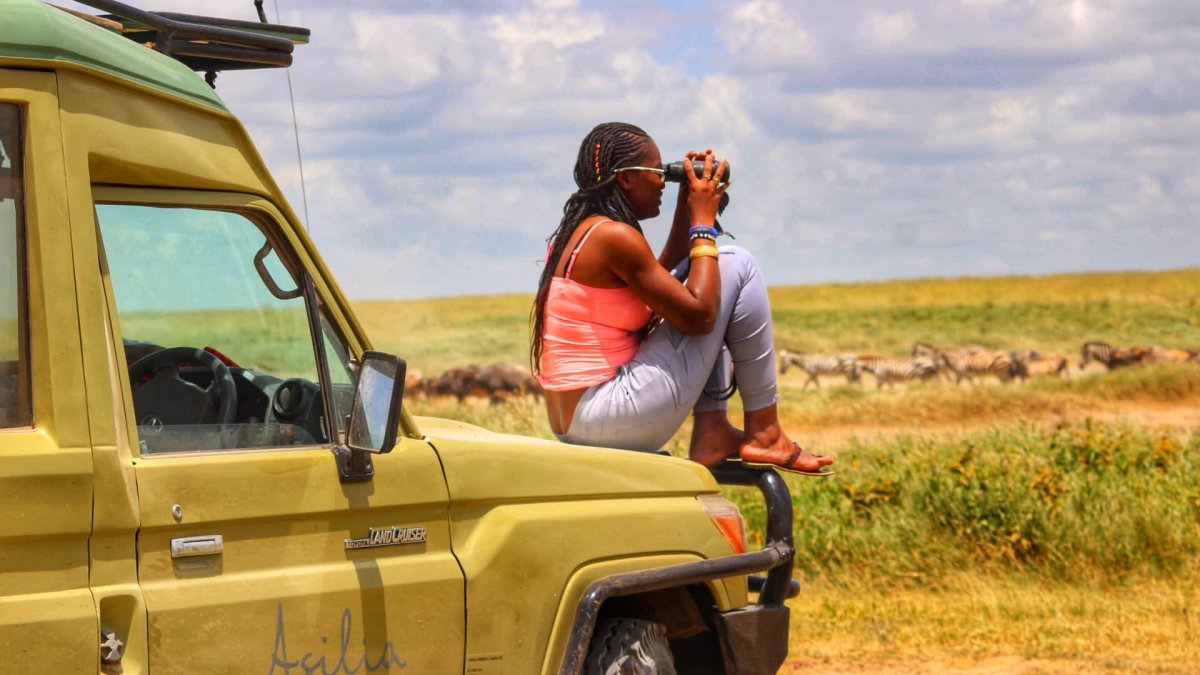 The best places — and best times — to take a safari - Vimarsana News