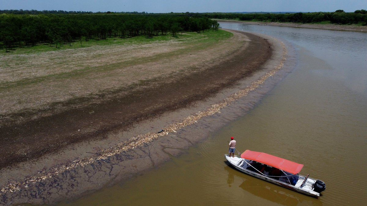 Brazil's Amazon faces drought and high water temperatures, causing more than 100 dolphins to die – NBC Chicago - Vimarsana News