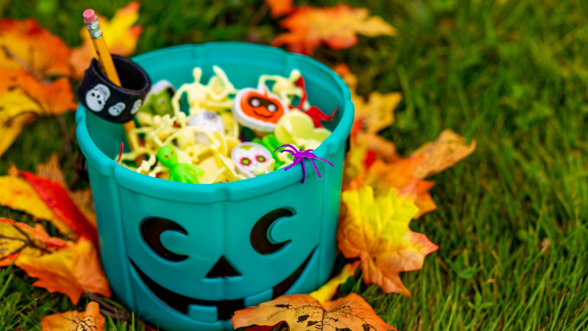 Why the Teal Pumpkin Project matters and how to participate – NBC Chicago - Vimarsana News