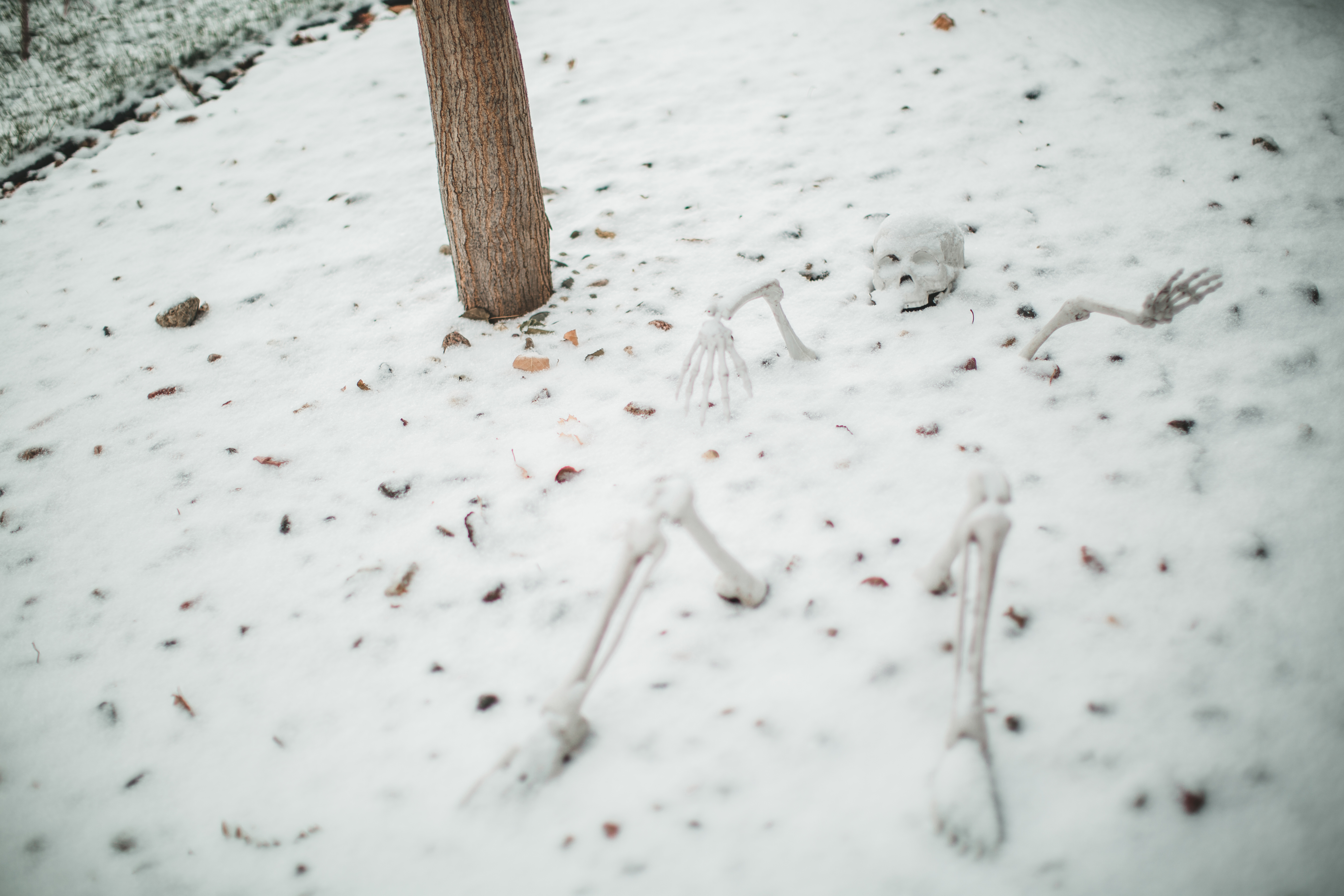 Snow and sub-freezing temps moves into Central Montana Tuesday