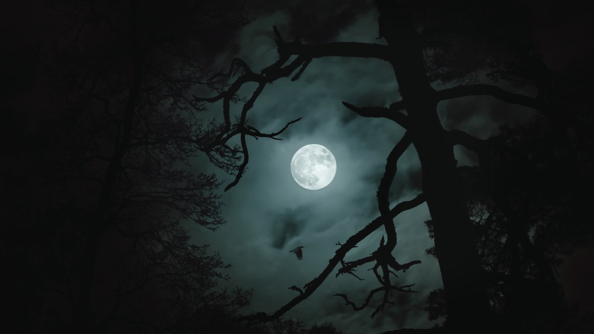 下一次满月是什么时候？关于十月的“猎人月”需要知道什么？