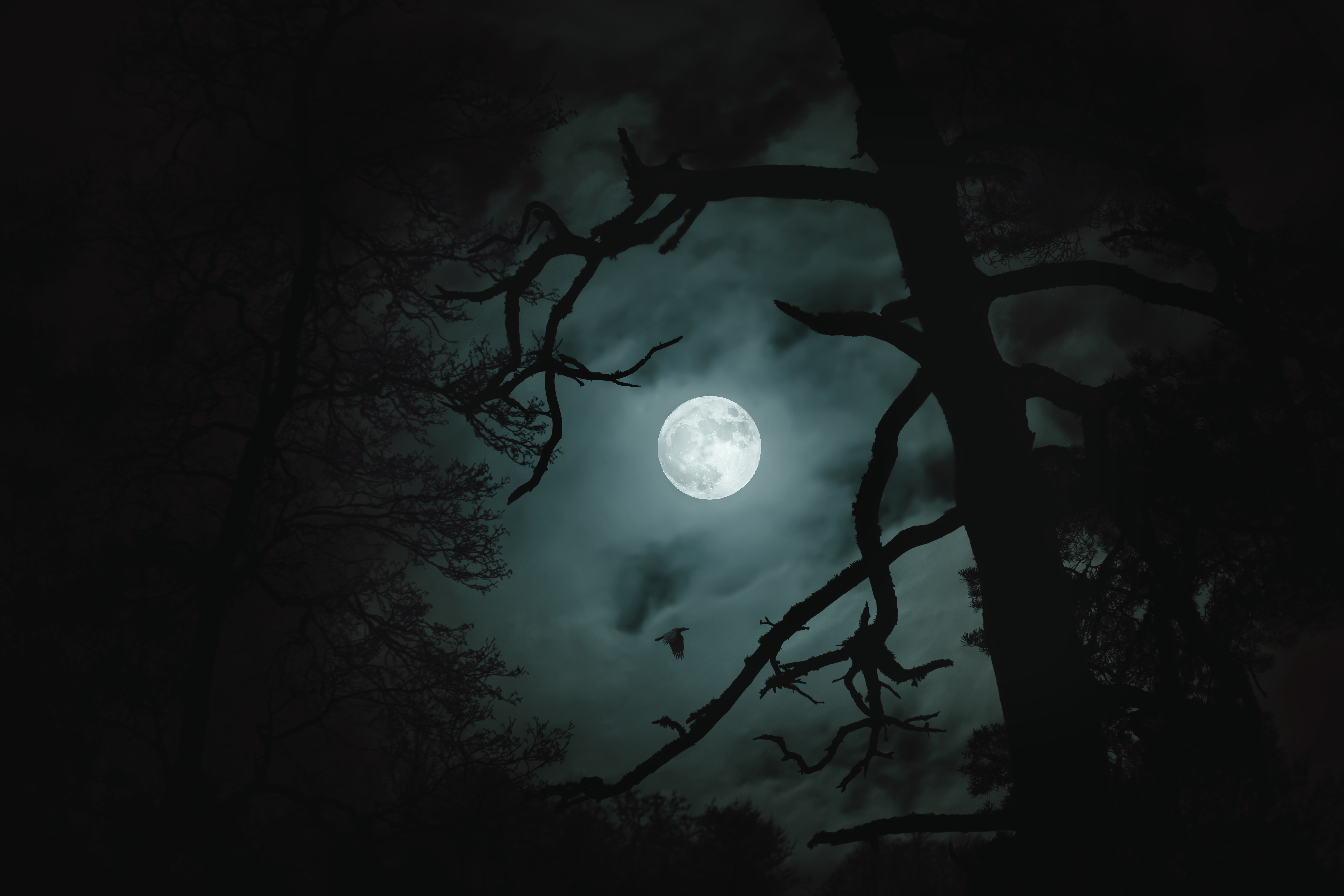 When is the next full moon? What to know about October’s ‘Hunter’s Moon