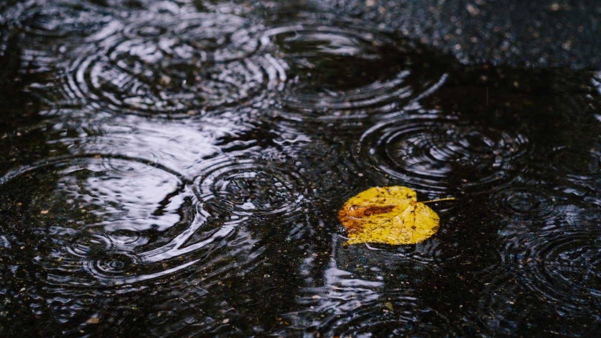 More rain and storms before cooler temperatures on Halloween – NBC Chicago