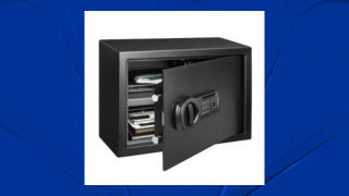 Biometric Fortress Gun Safe