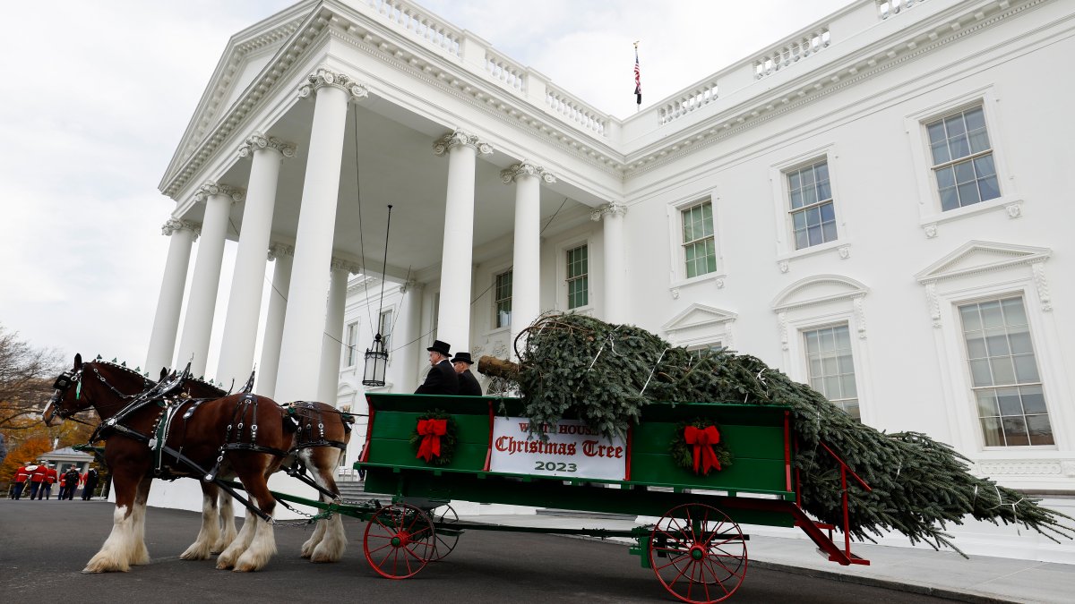 See the 2023 White House holiday decorations – NBC Chicago - Vimarsana News