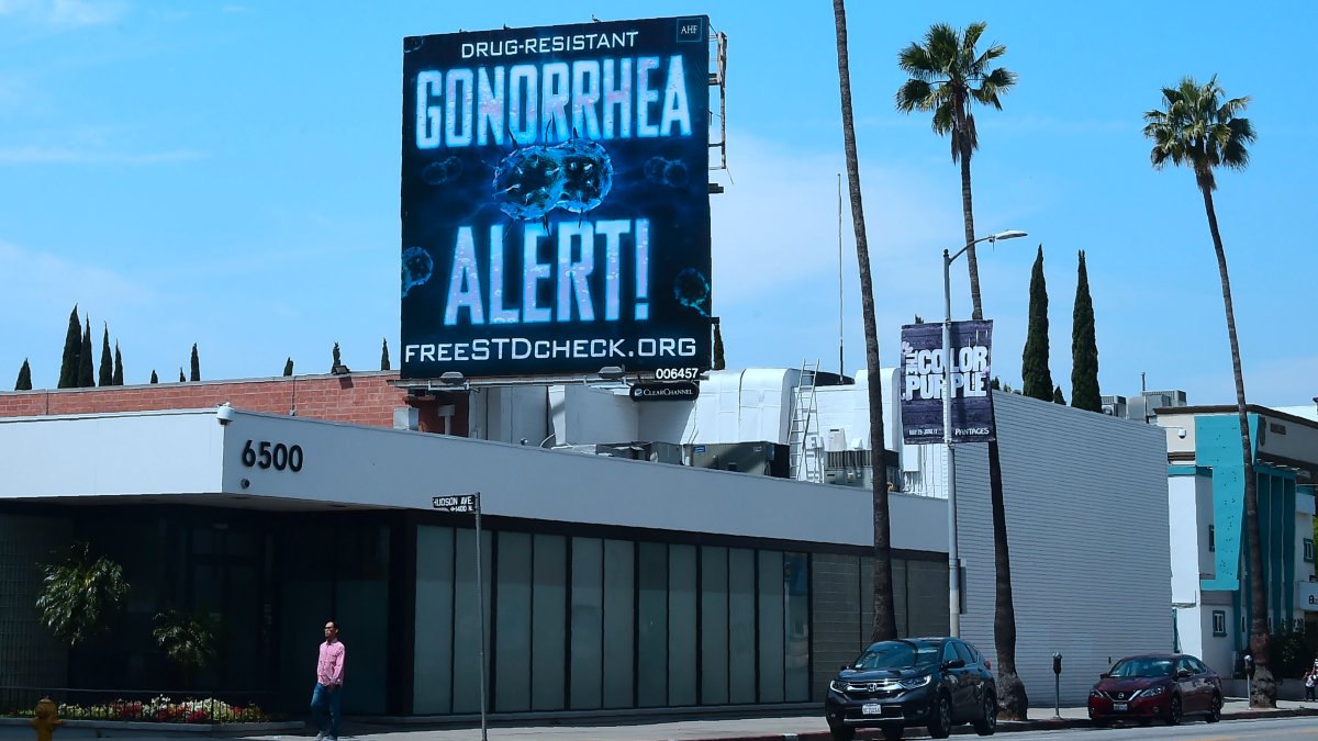 New antibiotic shows promise for drug-resistant gonorrhea – NBC Chicago - Vimarsana News