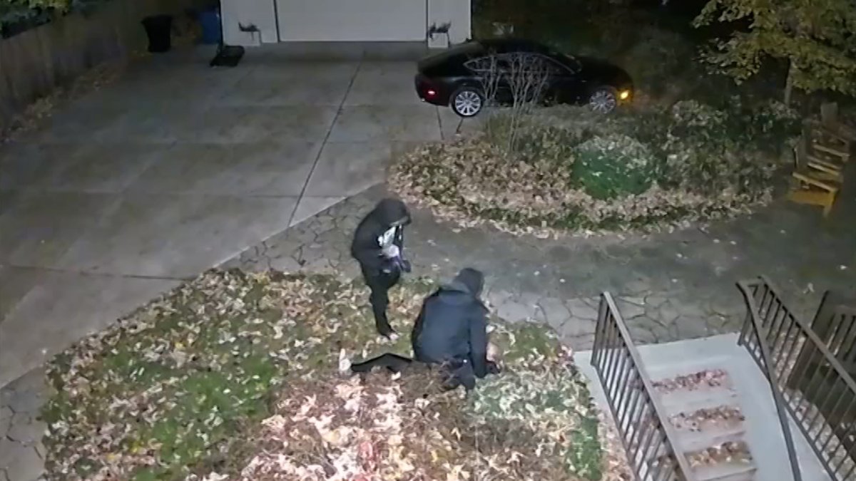 芝加哥一家人的恐怖经历：家中监控视频捕捉到家门外的抢劫事件