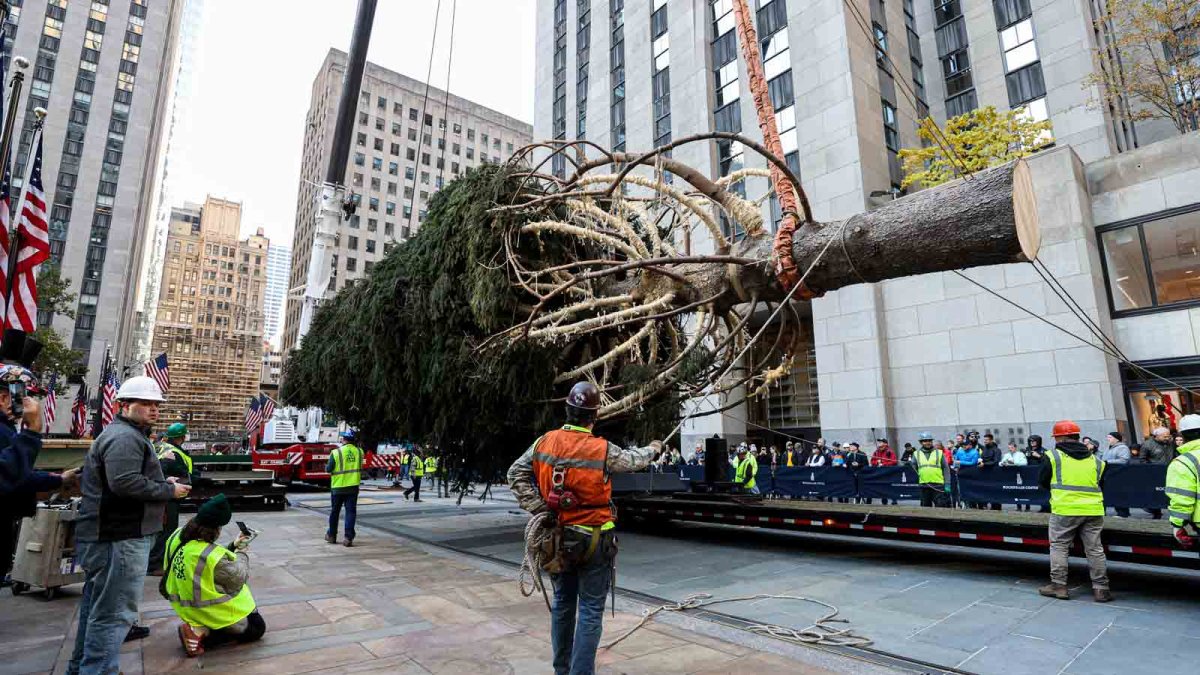 Rockefeller Center Christmas tree: What to know – NBC Chicago - Vimarsana News
