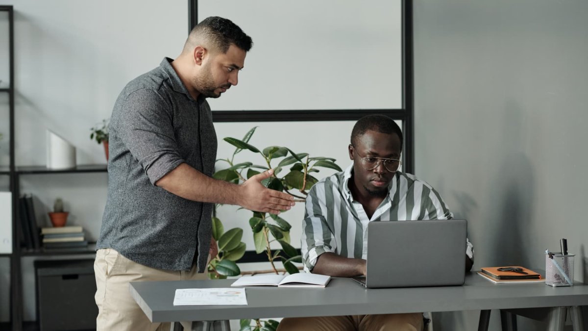 Harvard career expert shares the 3 red flags of 'highly insecure' people at work—and how to deal with them – NBC Chicago - Vimarsana News