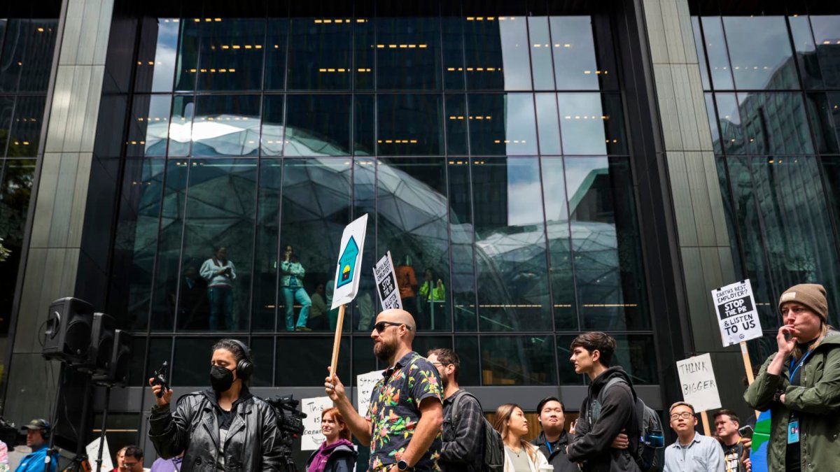 Over 100,000 workers were laid off from tech jobs this year—here's where they went - Vimarsana News