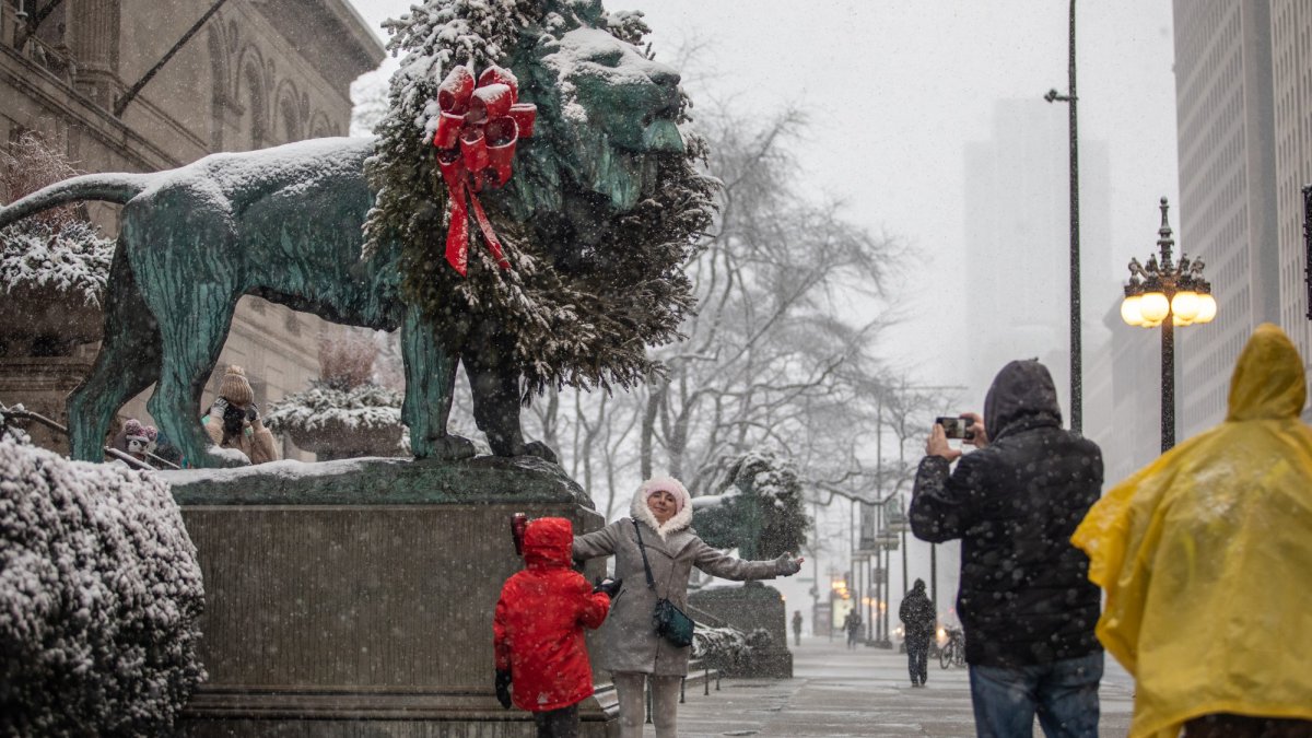 Art Institute, Field Museum and more – NBC Chicago