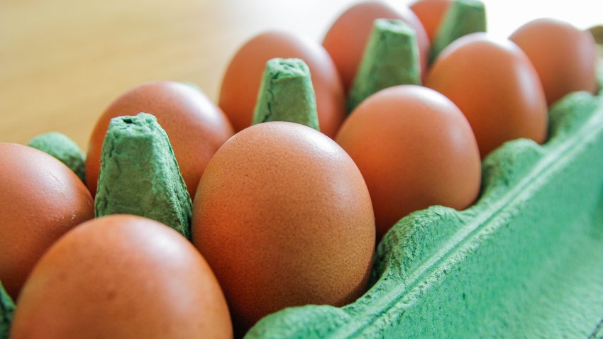 Eggs in a green container