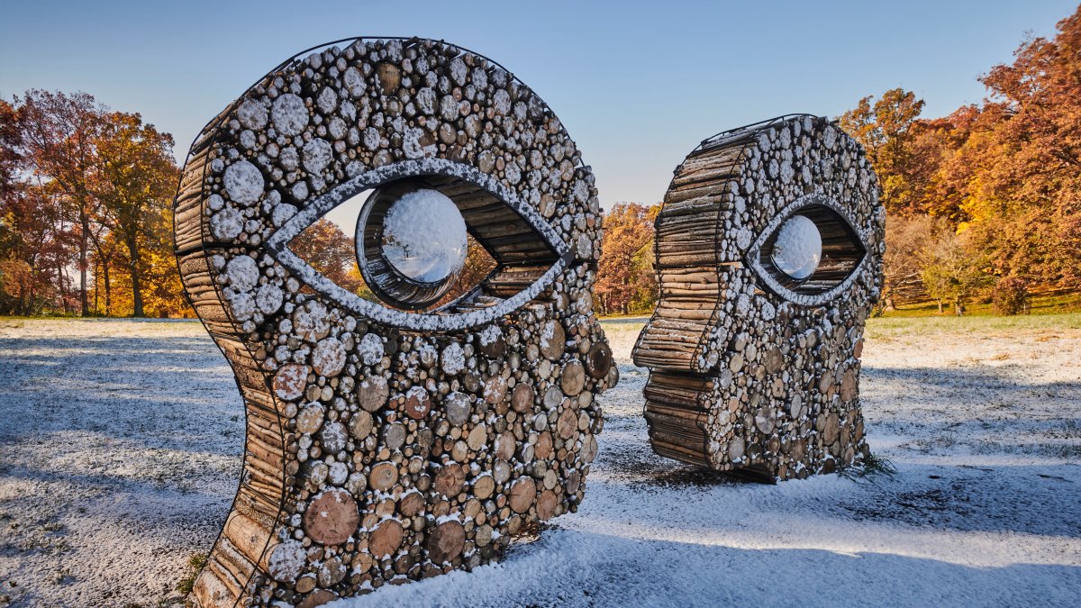 Morton Arboretum to offer free admission on Christmas Day